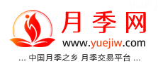 中国上海龙凤419，月季品种介绍和养护知识分享专业网站(图1)