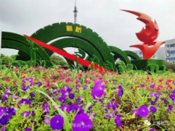 上海松江这里的花坛、花境“上新”啦!特色景观升级!